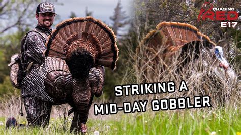 Striking A FIRED UP Mid Day Gobbler The Perfect Spring Hunt Hunting