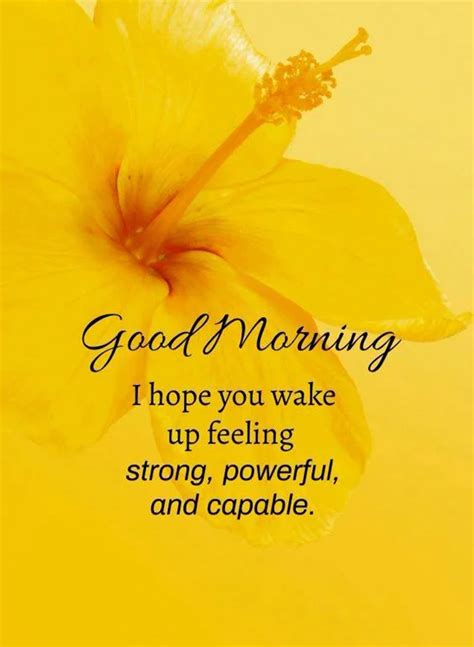 45 Inspirational Good Morning Quotes With Beautiful Images Tiny Inspire