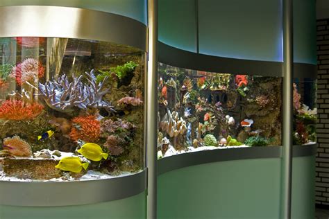 Aquariums