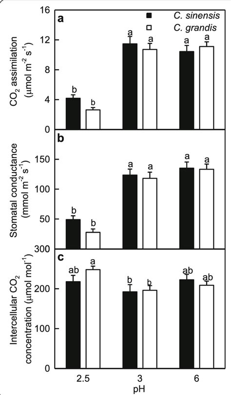 Leaf Gas Exchange In Response To Low Ph A Co Assimilation B