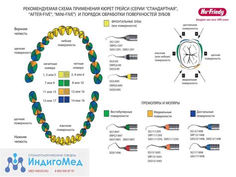 Кюреты. Методика работы универсальной кюретой - презентация онлайн
