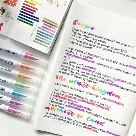 Rainbow Study Notes Studygram Follow Motivation2study For