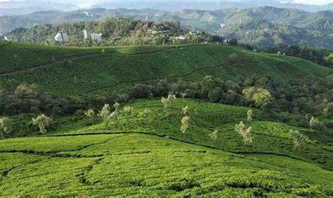 Rajamalai Munnar Timings Entry Fees Ticket Online Book National Park