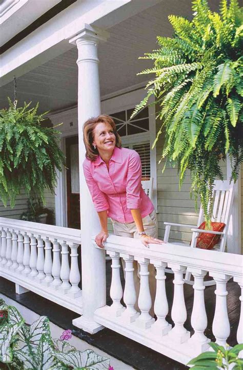 The Timeless Beauty of Ferns: A Southern Staple for Your Porch — Cold