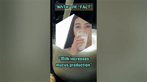 Daily Facts Debunking Myths Does Milk Really Increase Mucus