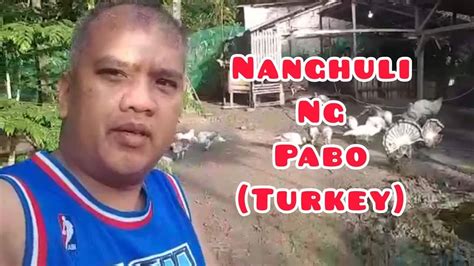 Nanghuli Ng Pabo Turkey Sa Hacienda Ni Carlina San Vicente