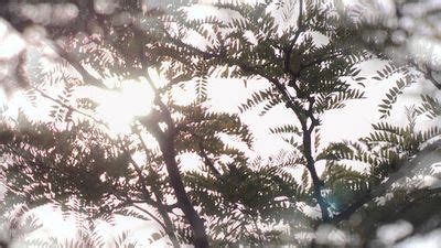 My Naked Secret Where To Watch And Stream Online Reelgood