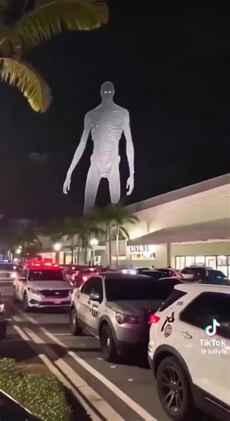 Miami large Police presence - Creatures?! WTF - One News Page VIDEO