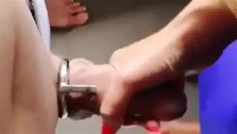 Free Dino Tube Porn Videos 2 XHamster