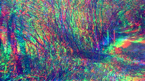 Trippy Forest by AniaBuckle on DeviantArt