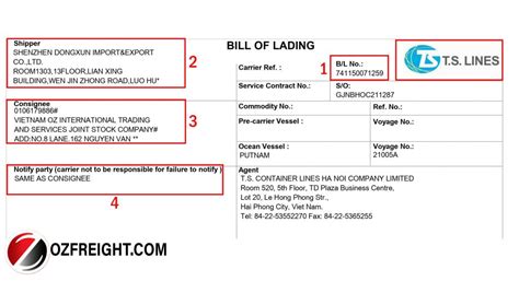 Vận đơn đường biển Bill of Lading là gì Hướng dẫn đọc hiểu chi tiết B