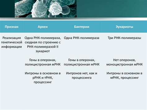Микробиология. Введение в микробиологию - презентация онлайн