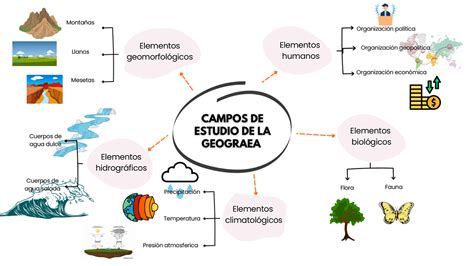 Mapa Mental Campos De Estudio De La Geograf A Monograf As Ensayos De