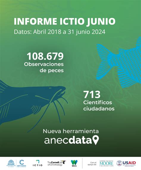 Ictio Avanza En El Desarrollo De Nuevas Herramientas Para La