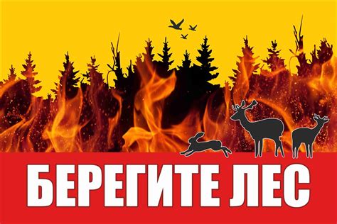 Берегите лес от огня