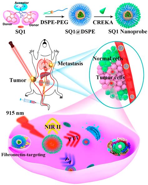 Photoacoustic Imaging Probes For Theranostic Applications