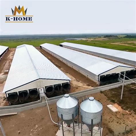 Prefabricated Modern Wholesale Broiler Chicken Poultry Farm In South