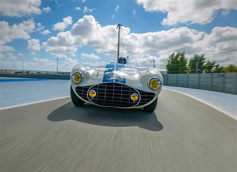 smiling shark  cunningham   revs institute