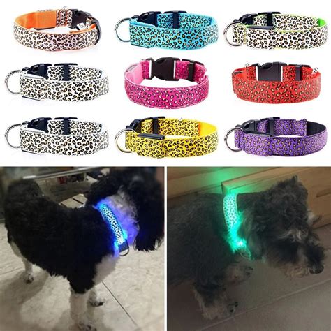 Can Dogs See Glow In The Dark