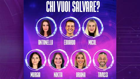 Gf Vip Sondaggi Puntata Febbraio Chi Dovr Abbandonare Il Reality