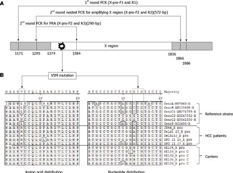 Figure From Development Of Fok I Based Nested Polymerase Chain