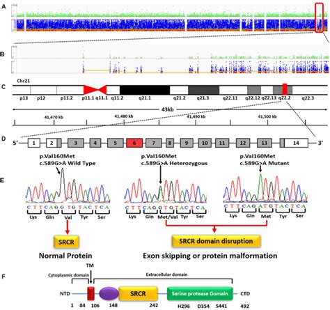 Representative Image Depicting Whole Exome Sequencing Data And The