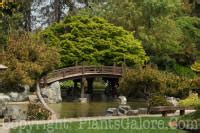 San Jose Japanese Friendship Garden Usa Gardens Parks Squares And