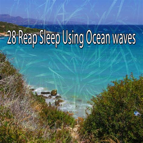 Reap Sleep Using Ocean Waves Album By Ocean Sounds Spotify