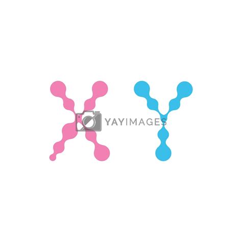 Sex Chromosome Xy Chromosomes In Molecular Fluid Design Vector Symbol Isolated On White