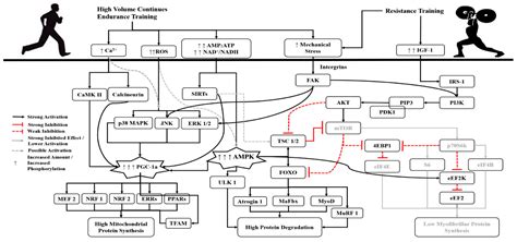 A Brief Review on Concurrent Training: From Laboratory to the Field