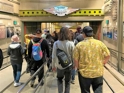 The bus 31 driver who surprised every single rider 9