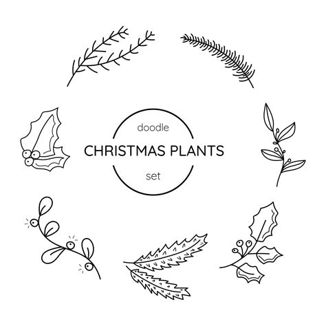 set christmas plantschristmas plants in doodle style By SvetlanaLAS