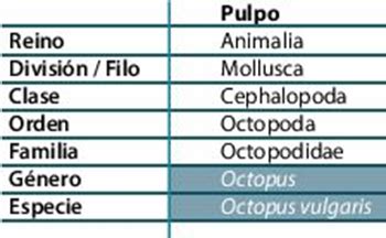 Nomenclatura Y Taxonoma De Los Seres Vivos