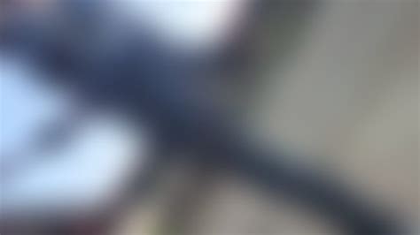 Bullwhip Porn Videos Clips4sale