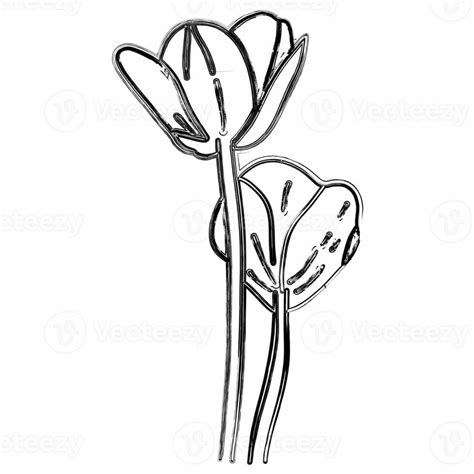 Flowers drawing line decoration design. 33504936 Stock Photo at Vecteezy