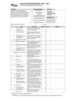 Wdaa Western Dressage Basic Level Test Wdaa Western