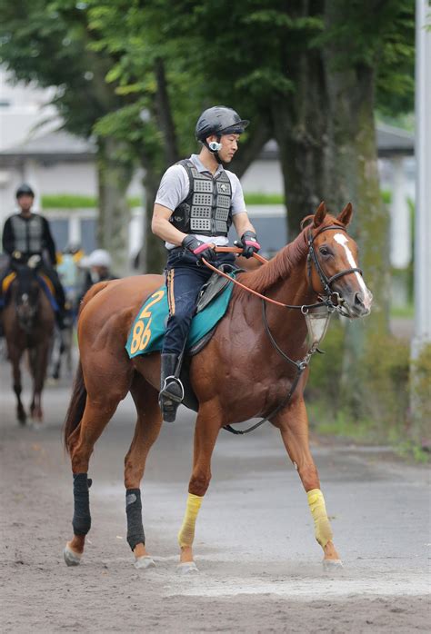 スカイキャンバスは速力満点、武井師「しっかり仕上げて、いい状態をキープ」／函館2歳s 2歳馬特集 競馬写真ニュース 日刊スポーツ