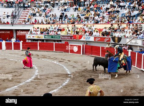 Mexico.Aguascalientes.Plaza Monumental bullring Aguascalientes ...