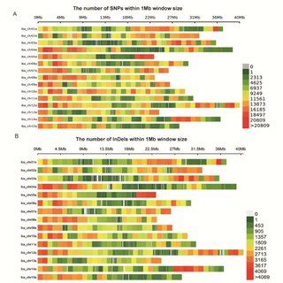 Genome Wide Variant Calling A Distribution Of Snps On Chromosomes