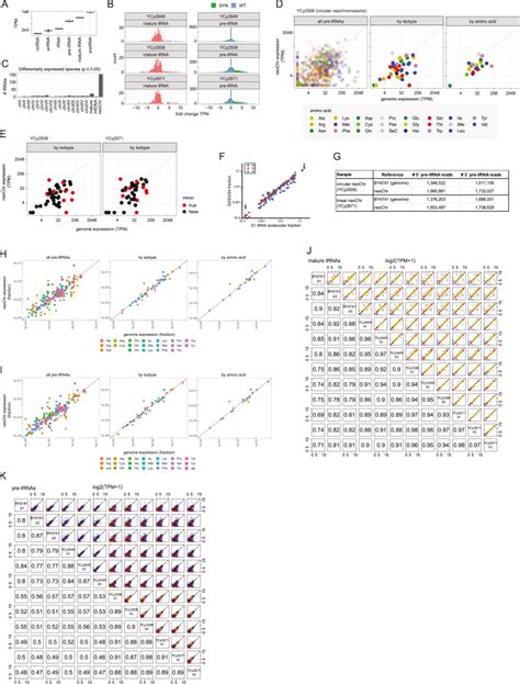 Design Construction And Functional Characterization Of A TRNA