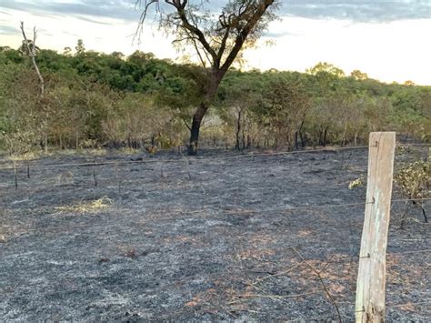 Empresa agropecuária é multada em R 58 mil por incêndio em pastagem