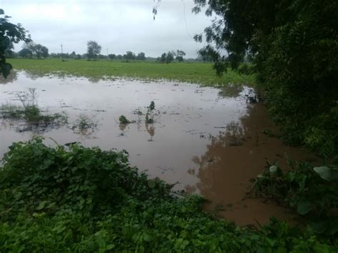 Water Overflowing The Fields Average Rain More Than 1 Inch In 24 Hours