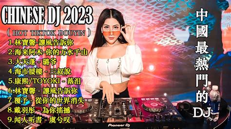 中國最熱門的DJ混音音樂合輯2023年中國DJ混音最好的40首歌曲合輯100 無廣告 想某人 白嘉峻王优秀 Hot Remix Douyin 2023