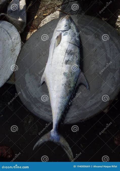 A seafood of Bangladesh stock image. Image of food, statue - 194000669