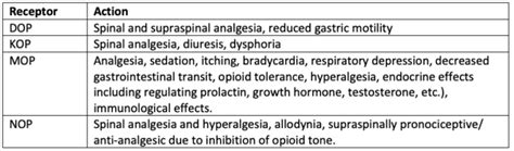 Opioids Basics OpenAnesthesia