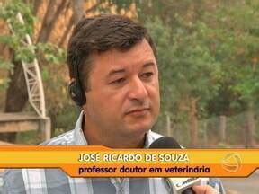 Bom Dia MT Seminário discute o bem estar de animais domésticos e os