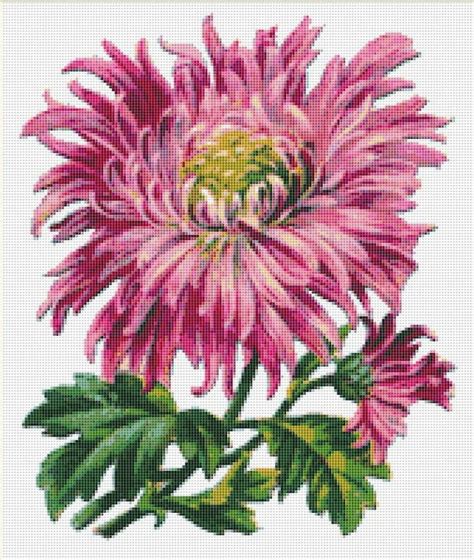 Pink Chrysanthemum Cross Stitch Pattern Instant By Needleandfloss