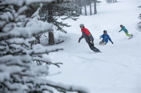 Mt. Norquay | Go Ski Alberta