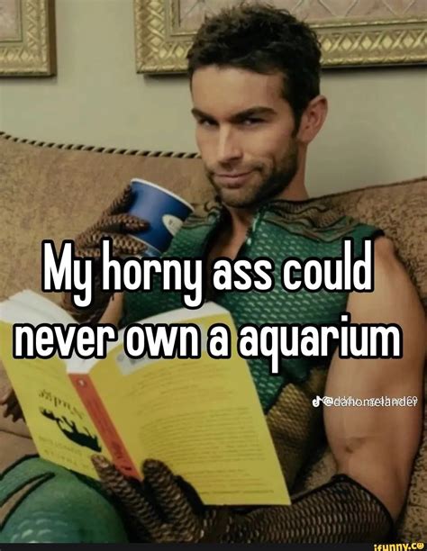My Horny Ass As Could Never Own A Aquarium Ielander IFunny