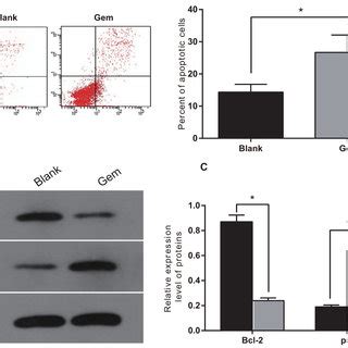 Linc Ror Influences Cell Viability And Apoptosis In Gem Treated